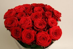 Ruža red naomi 50,60,70,80cm Boja-crvena